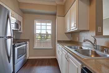 Modern stainless steel appliances